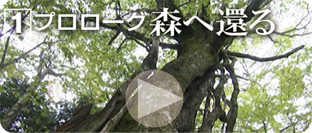 プロローグ森へ還る
